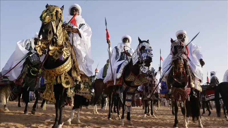 تنظيم مهرجان 