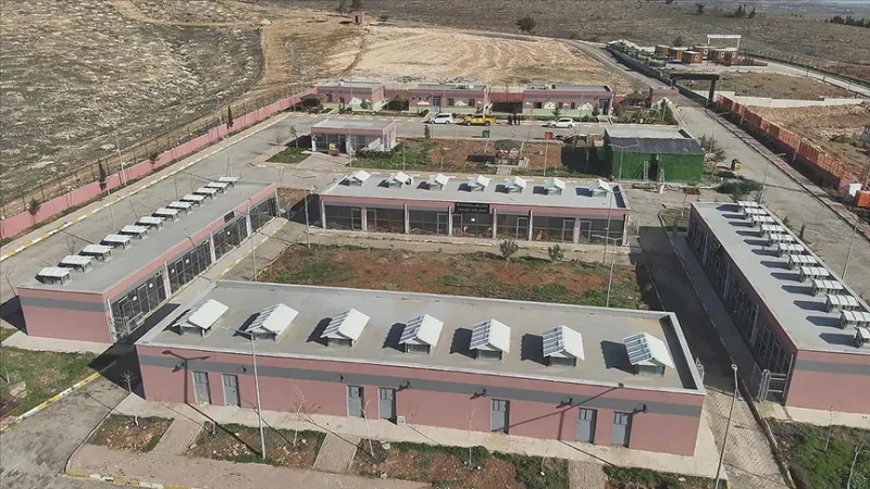 27 ezer 960 kóbor állatot gyűjtöttek be Şanlıurfában
