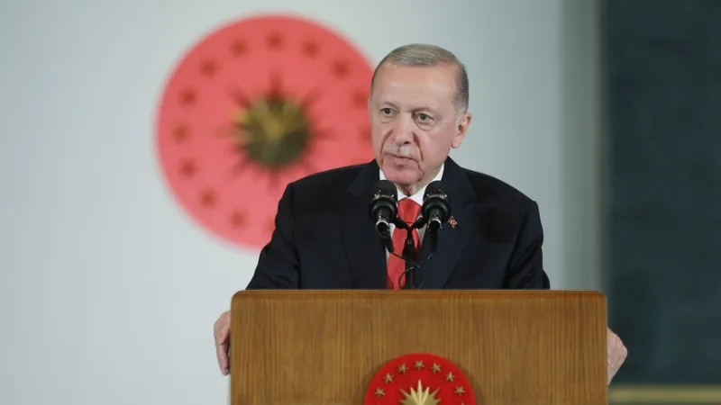 نشاطات الرئيس أردوغان في مجال الدبلوماسية السلمية